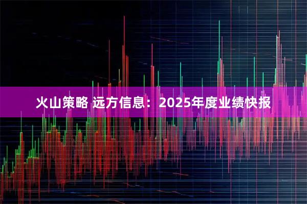 火山策略 远方信息：2025年度业绩快报